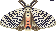 Pixel art of a small black arches moth