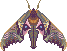 Pixel art of a blinded sphinx hawkmoth