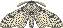 Pixel art of a white peppered moth