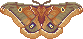 Pixel art of a polyphemus moth